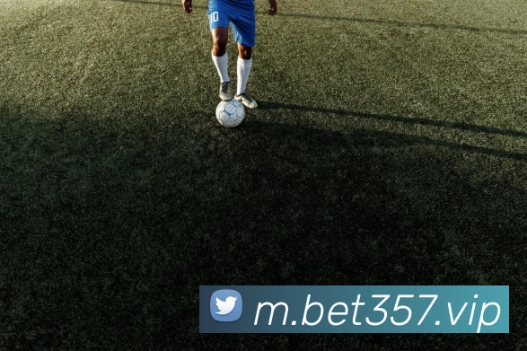 bet365com平台生态图